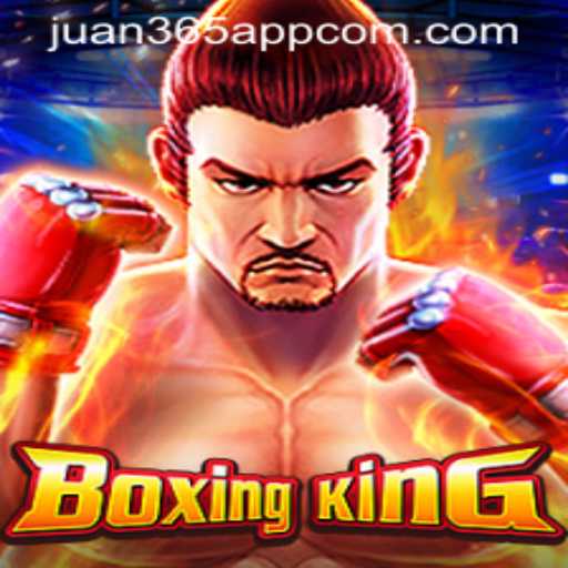 BoxingKing: A Comprehensive Guide to the Virtual Ring